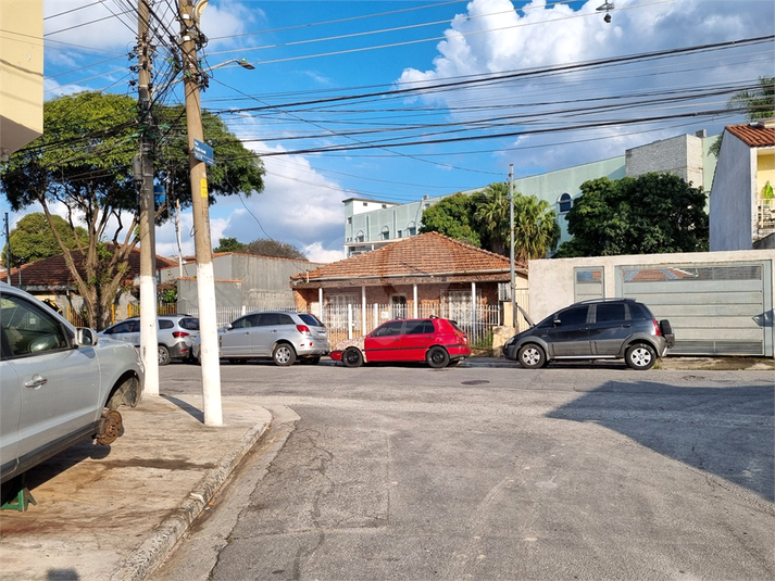 Foto REO1108891