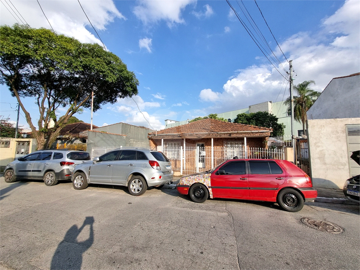 Foto REO1108891