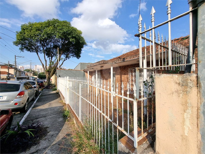 Foto REO1108891