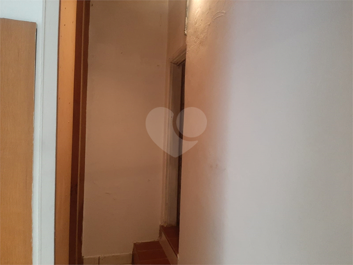 Foto REO1108894