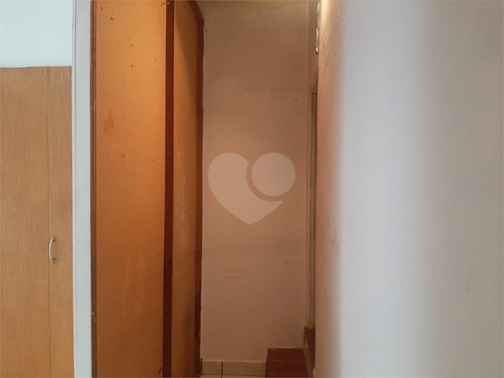 Foto REO1108894
