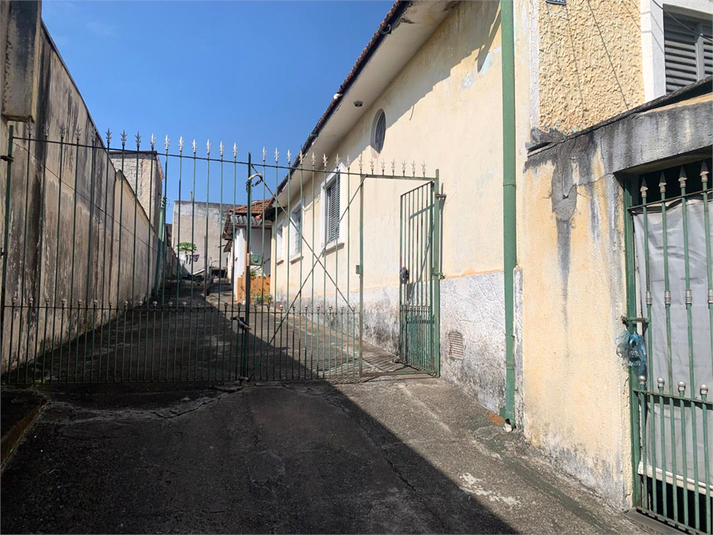 Foto REO1108895