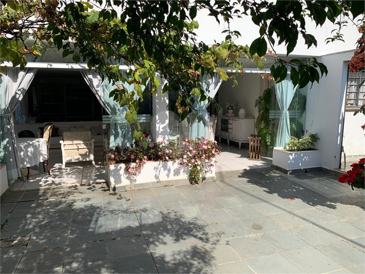 Foto REO1108898