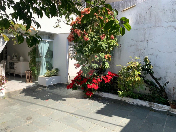 Foto REO1108898