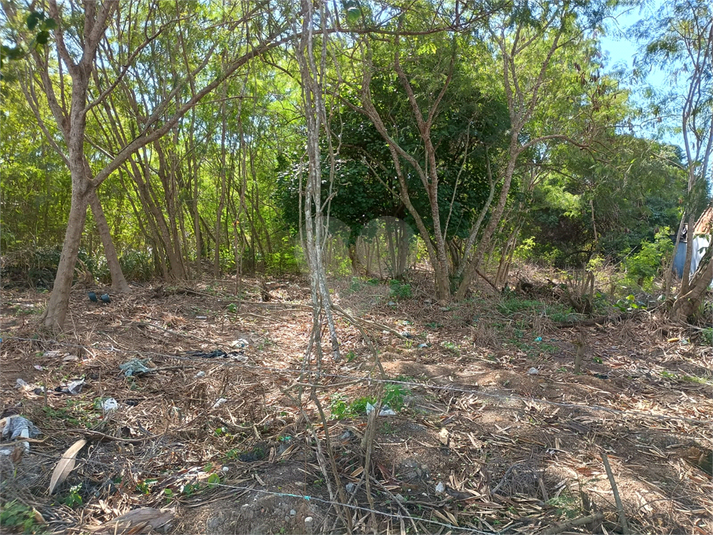Foto REO1108920
