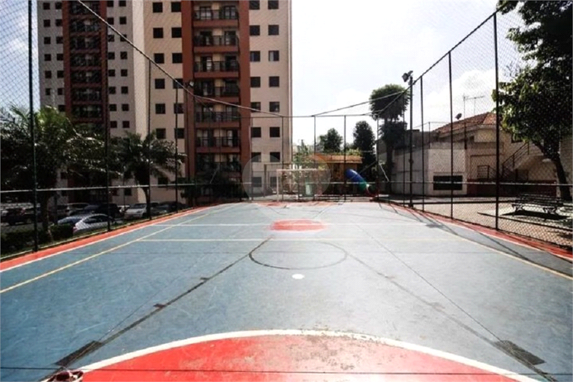 Foto REO1108923