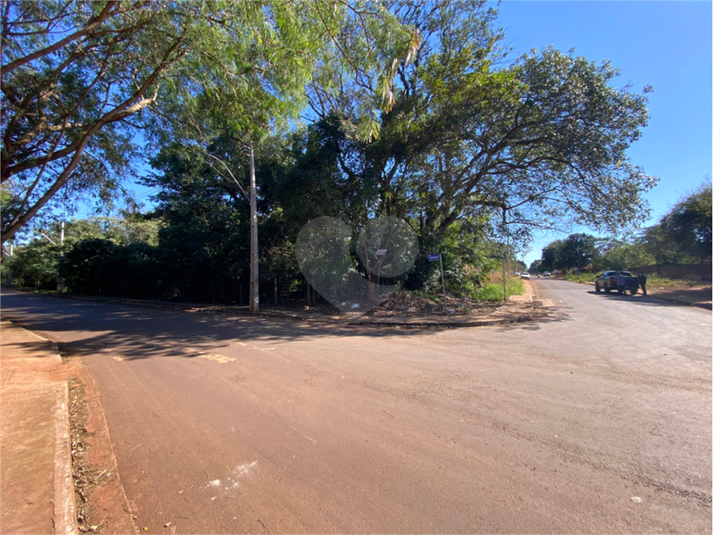 Foto REO1108926