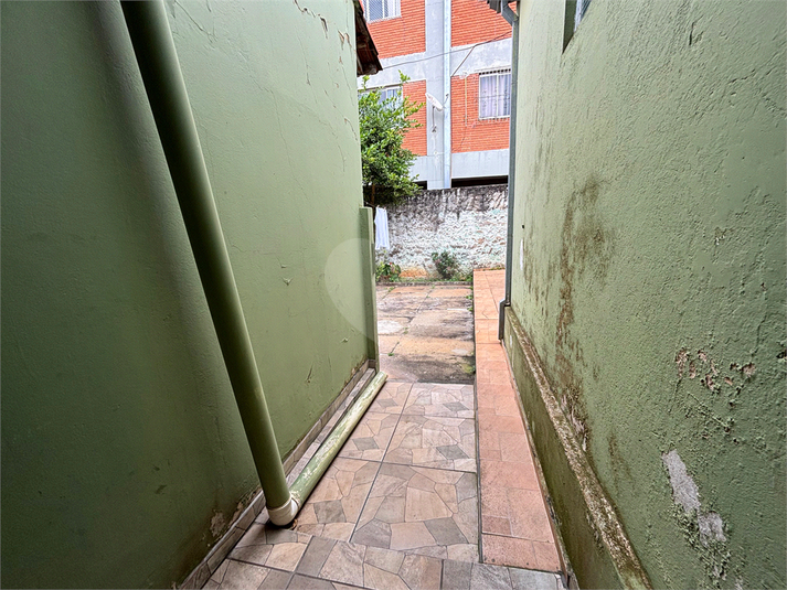 Foto REO1108929