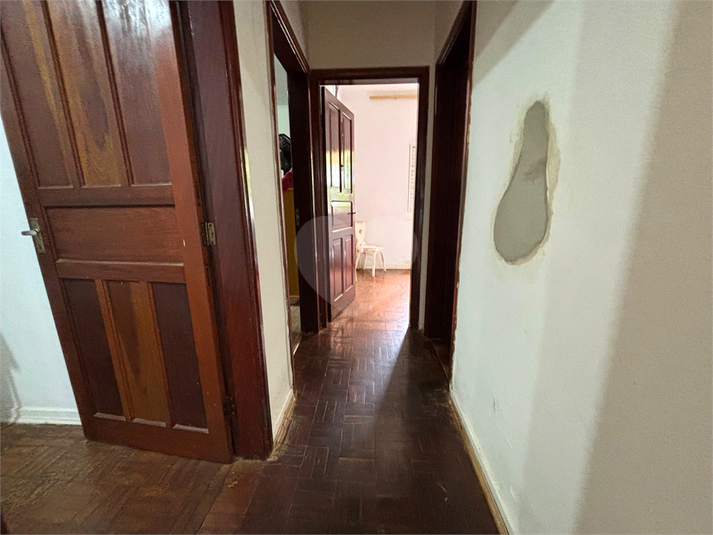 Foto REO1108929