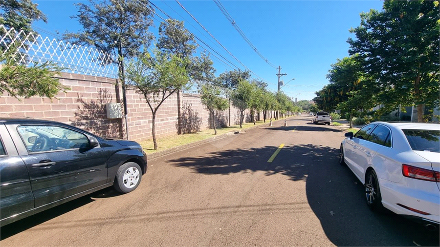 Foto REO1108931