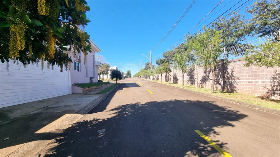 Foto REO1108931