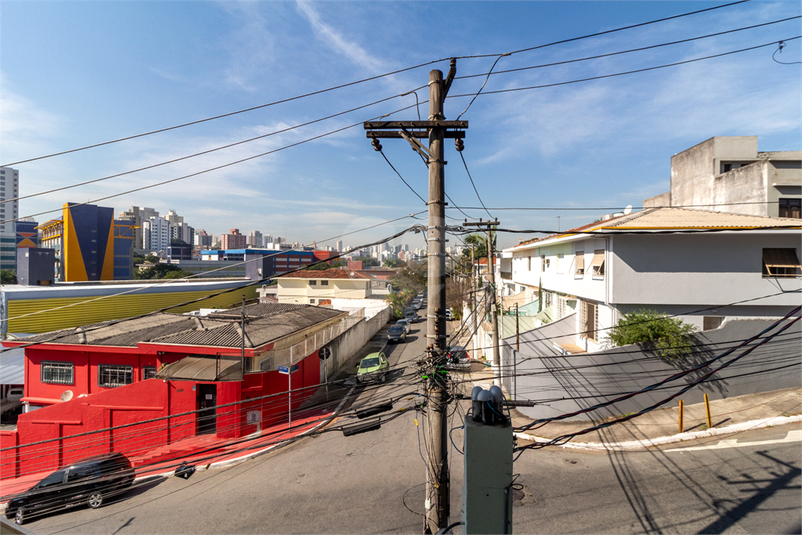 Foto REO1108943