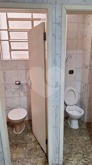 Foto REO1108955