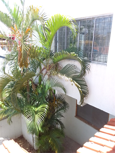 Foto REO1108967