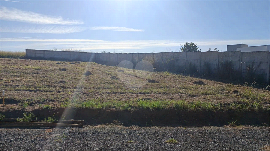 Foto REO1108968