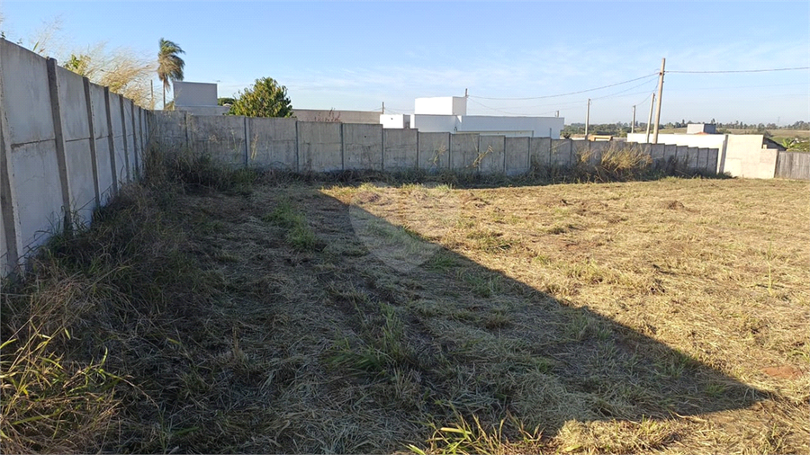 Foto REO1108968