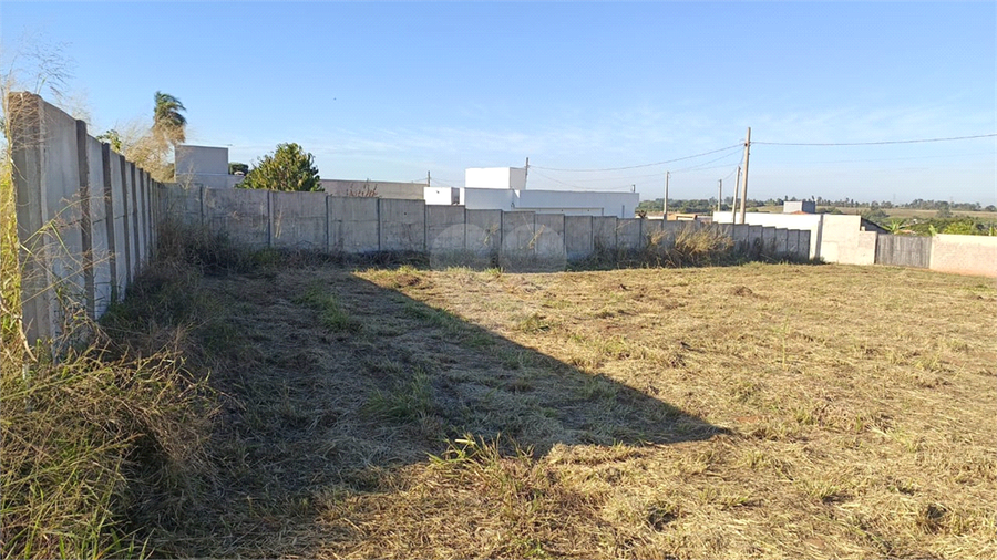 Foto REO1108968