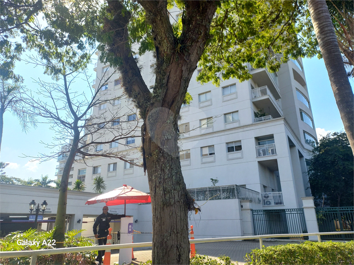 Foto REO1108976