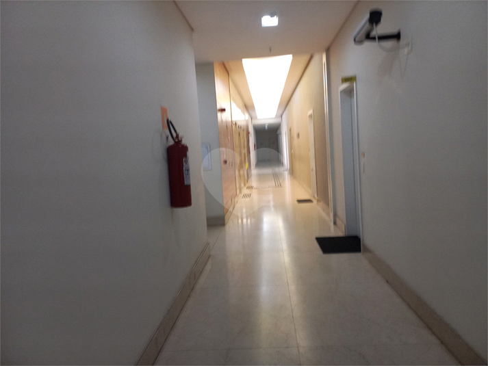 Foto REO1108976