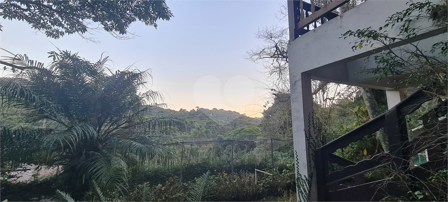 Foto REO1109011