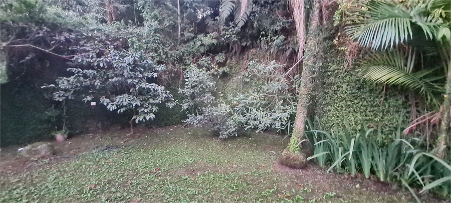 Foto REO1109011