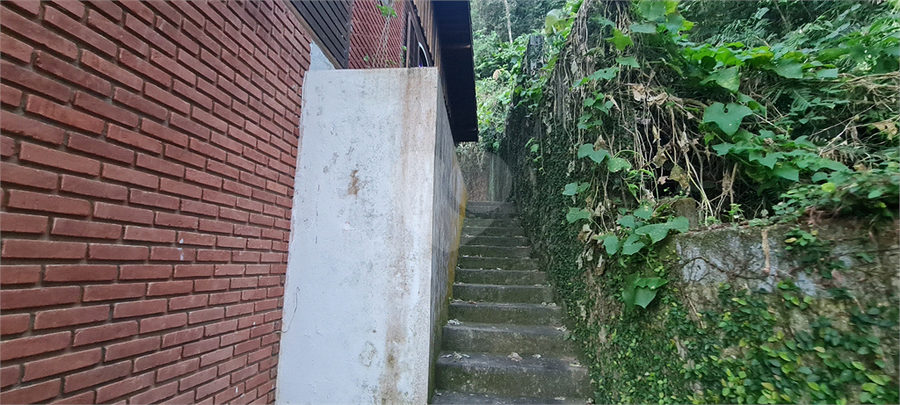 Foto REO1109011