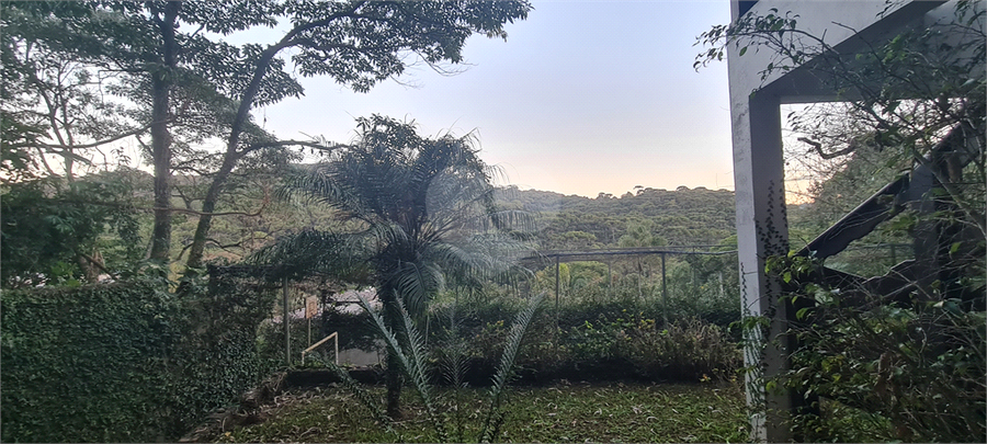 Foto REO1109011