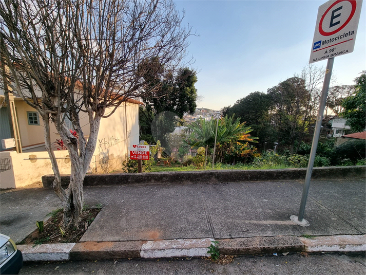 Foto REO1109047