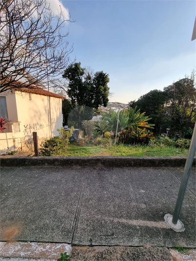 Foto REO1109047