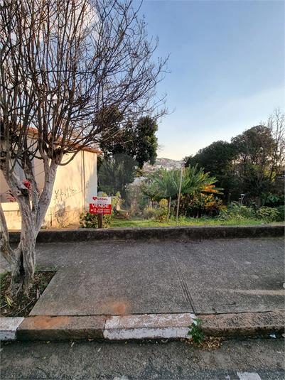 Foto REO1109047