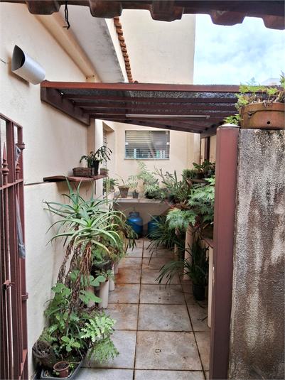 Foto REO1109080