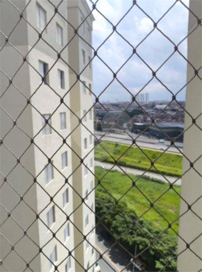 Foto REO1109081