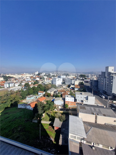 Foto REO1109089