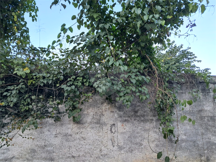 Foto REO1109106