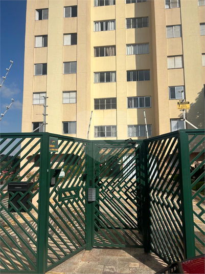 Foto REO1109141