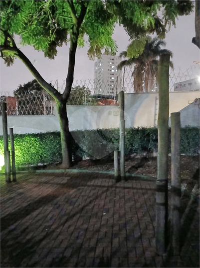 Foto REO1109156