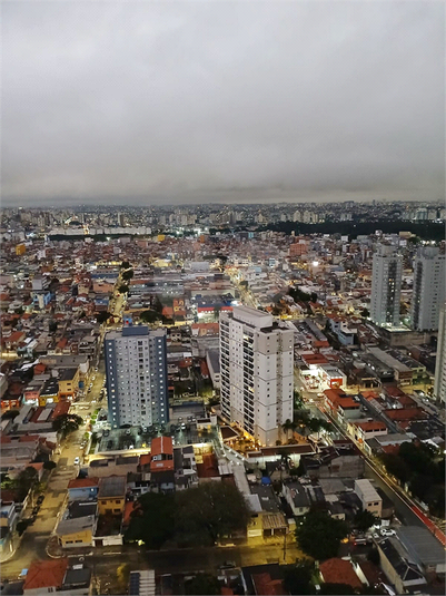 Foto REO1109156
