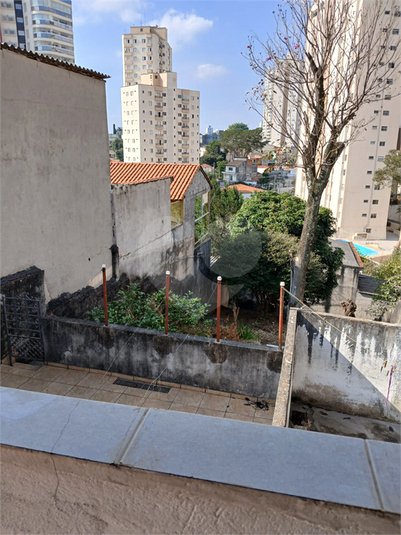 Foto REO1109168