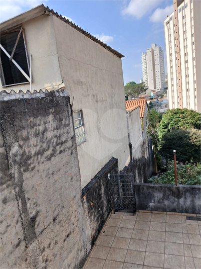 Foto REO1109168