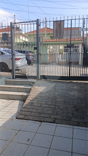 Foto REO1109168