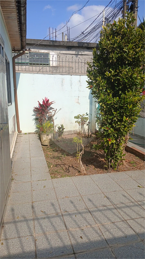 Foto REO1109168