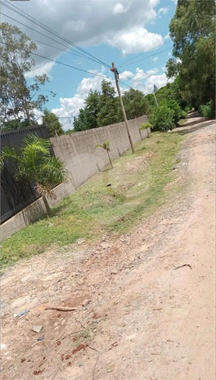 Foto REO1109169