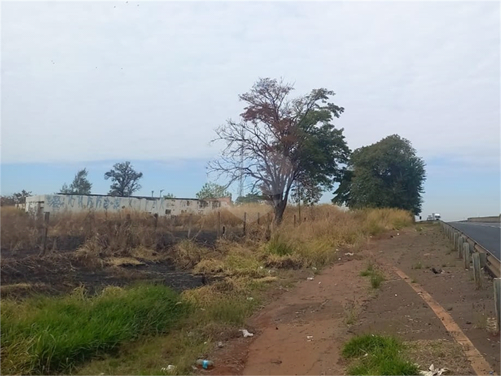Foto REO1109175