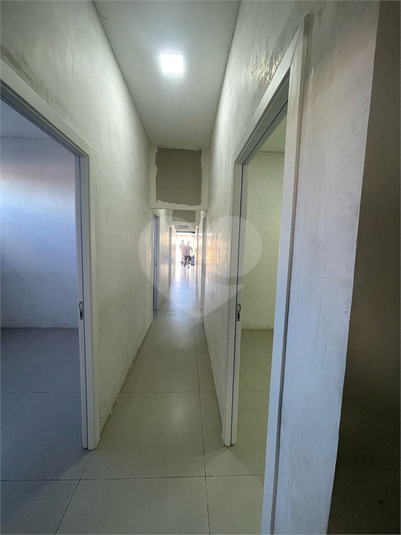 Foto REO1109183
