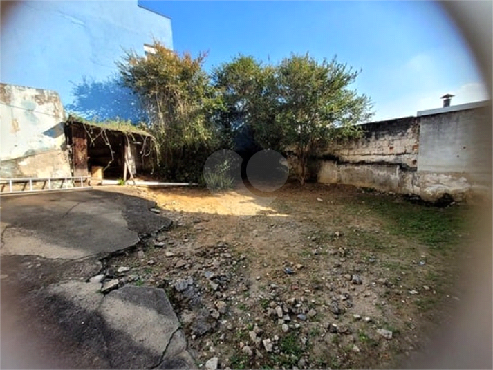 Foto REO1109190