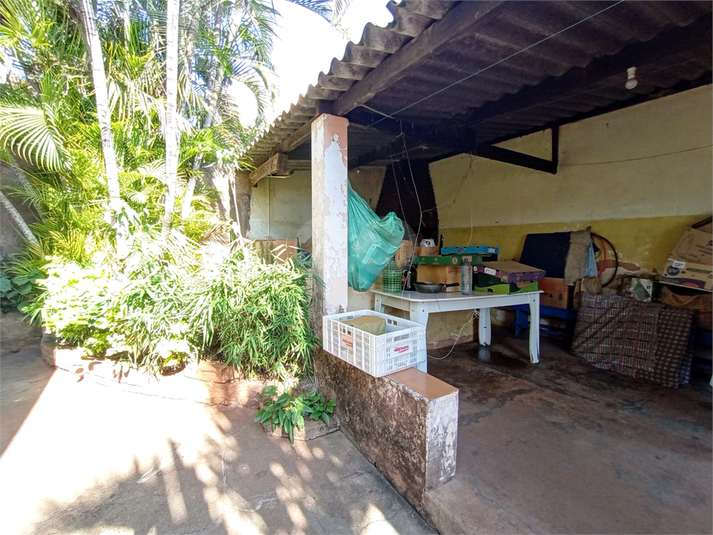 Foto REO1109306