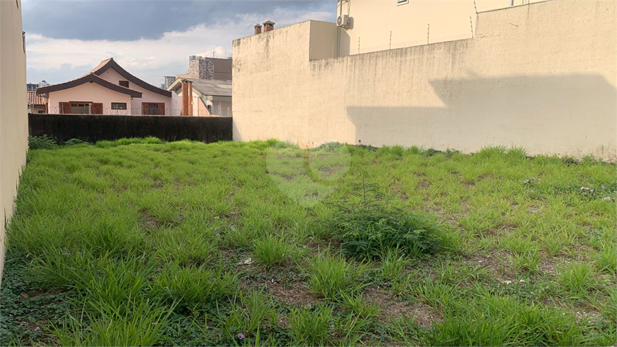 Foto REO1109318