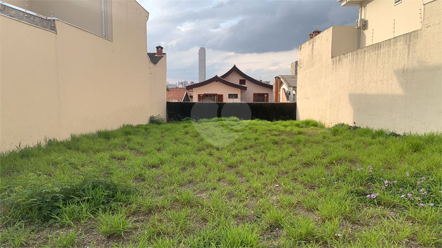 Foto REO1109318