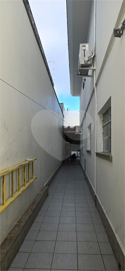 Foto REO1109327
