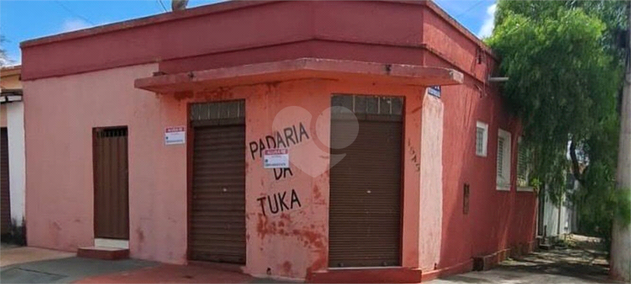 Foto REO1109343